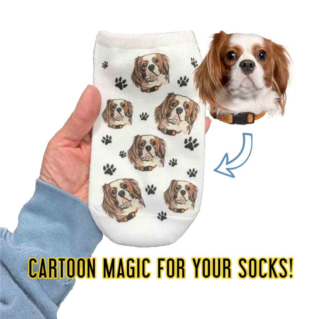We take your favorite photo and turn it into a unique cartoonized image and print it on a pair of why no show socks.