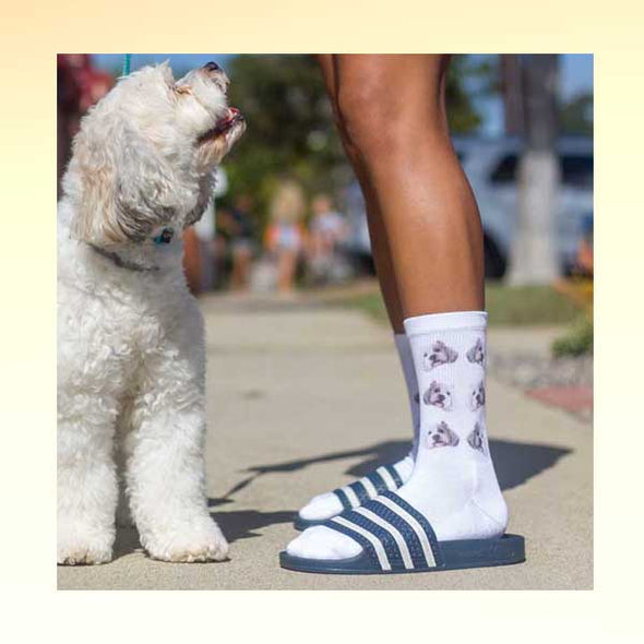 Custom print a pair of socks with a dog photo that any dog owner will love. These custom printed socks make a great gift for any occasion. Just upload your favorite dog photo and our design team will take care of the rest! 