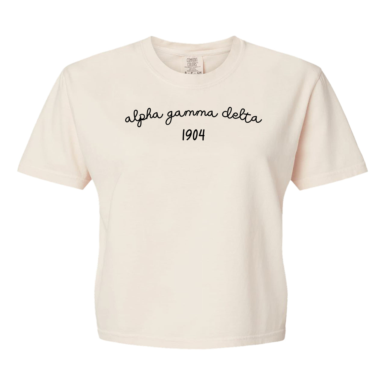 Alpha Gamma Delta Comfort Colors Tshirt