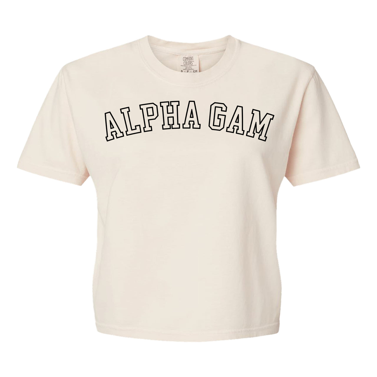 Alpha Gamma Delta Comfort Colors boxy crop t-shirt featuring the sorority name in block letters 