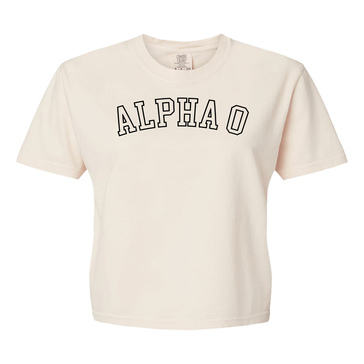 Alpha Omicron Pi Comfort Colors boxy crop t-shirt featuring the sorority name in block letters 