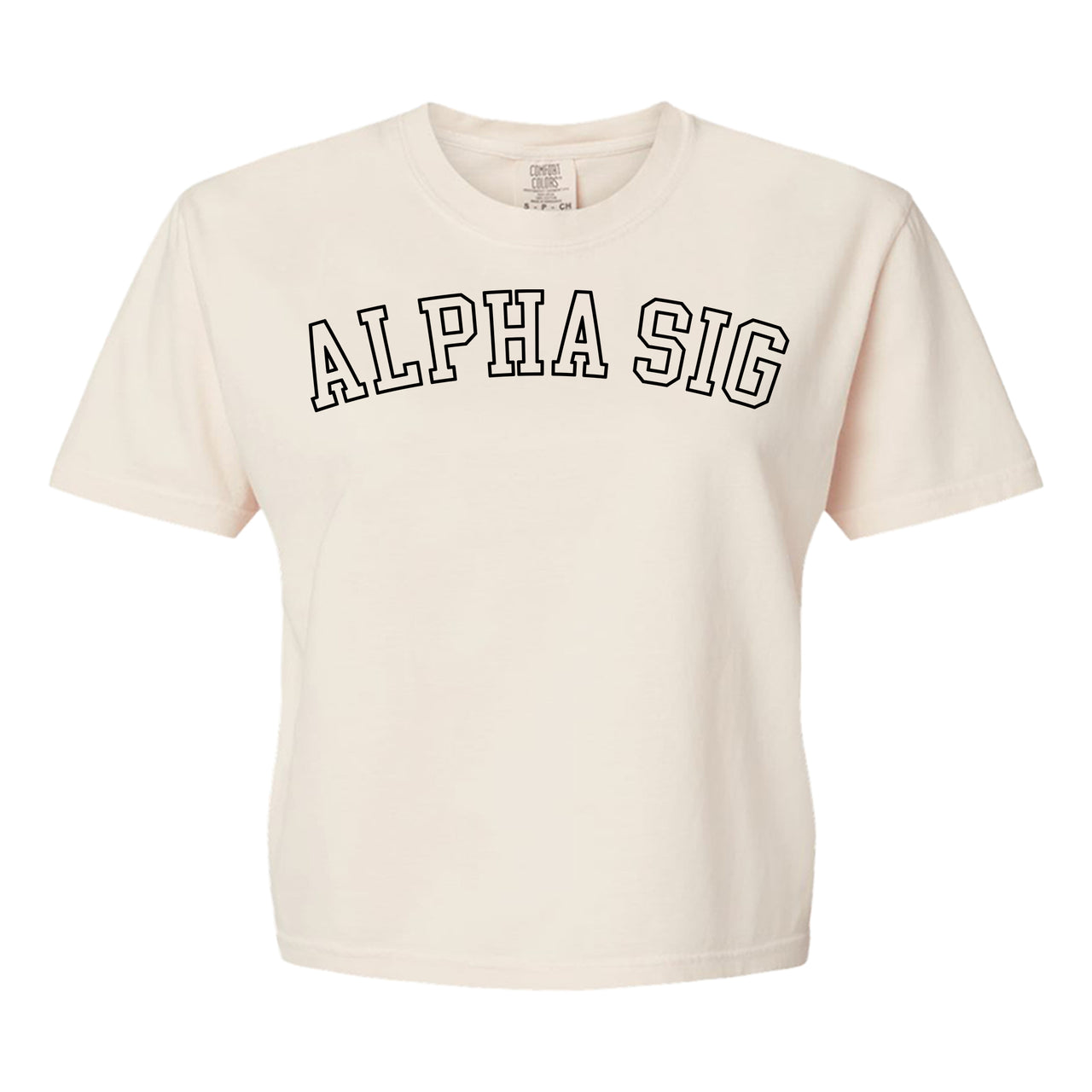 Alpha Sigma Alpha Comfort Colors boxy crop t-shirt featuring the sorority name in block letters 