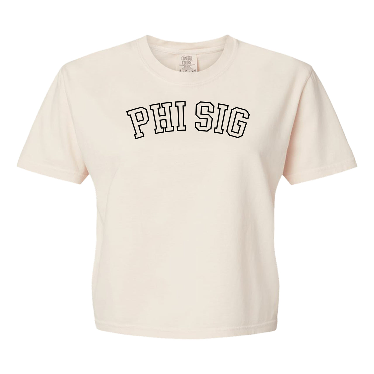 Phi Sigma Sigma Comfort Colors boxy crop t-shirt featuring the sorority name in block letters 