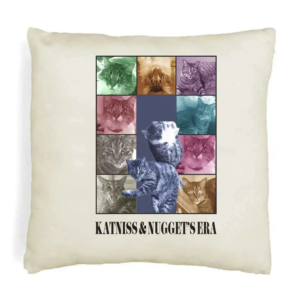 Eras Tour-themed pillow covers for Swifties who are cat lovers too!
