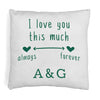 I love you this much always and forever design by sockprints digitally printed on accent throw pillow cover.