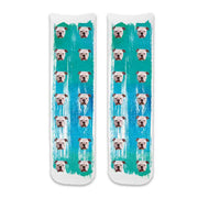 Custom dog photo socks personalized with your dogs photos printed all over the cotton crew socks with green blue paint brush background.